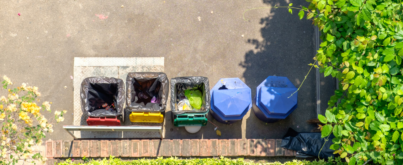 garbage bin collection - POWER Bear