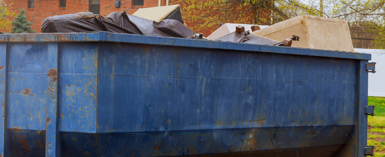 Waste disposal skip for waste management